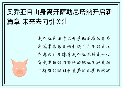 奥乔亚自由身离开萨勒尼塔纳开启新篇章 未来去向引关注