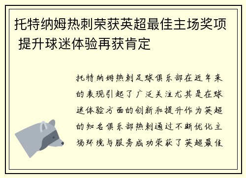 托特纳姆热刺荣获英超最佳主场奖项 提升球迷体验再获肯定