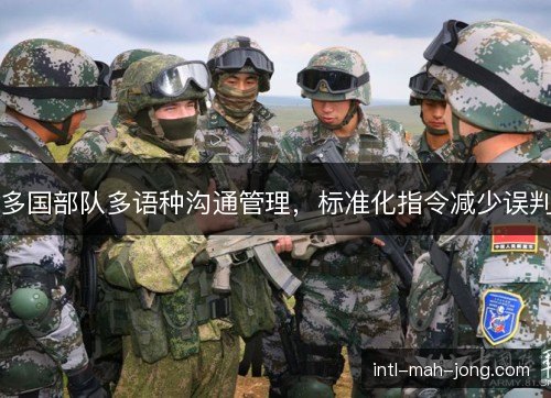 多国部队多语种沟通管理，标准化指令减少误判